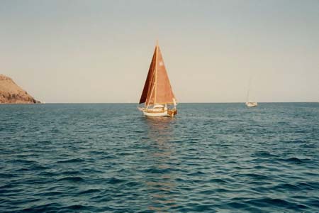 sailback